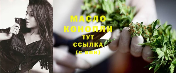 молекула духа Елабуга