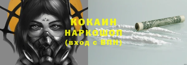 ГАЛЛЮЦИНОГЕННЫЕ ГРИБЫ Ельня
