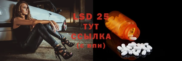 MESCALINE Елизово