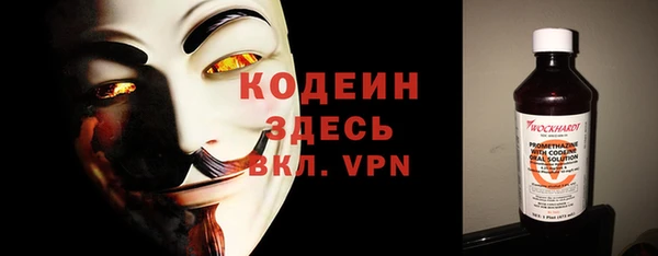 ГАЛЛЮЦИНОГЕННЫЕ ГРИБЫ Ельня