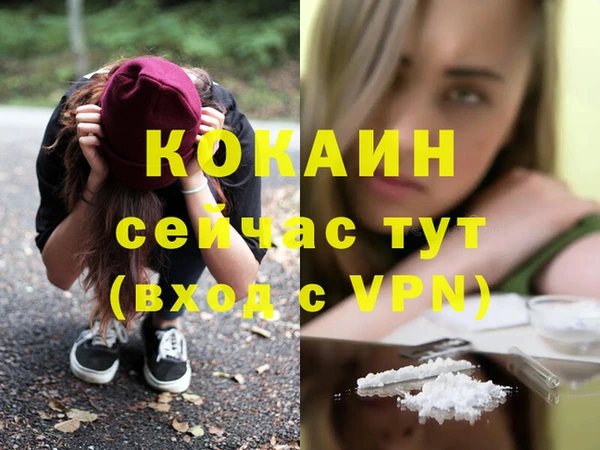 ГАЛЛЮЦИНОГЕННЫЕ ГРИБЫ Ельня