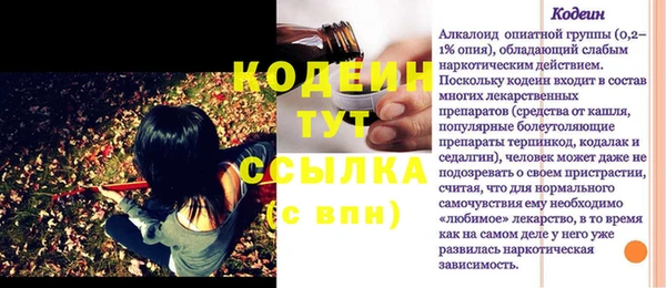 молекула духа Елабуга