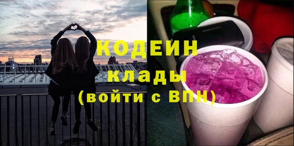 молекула духа Елабуга