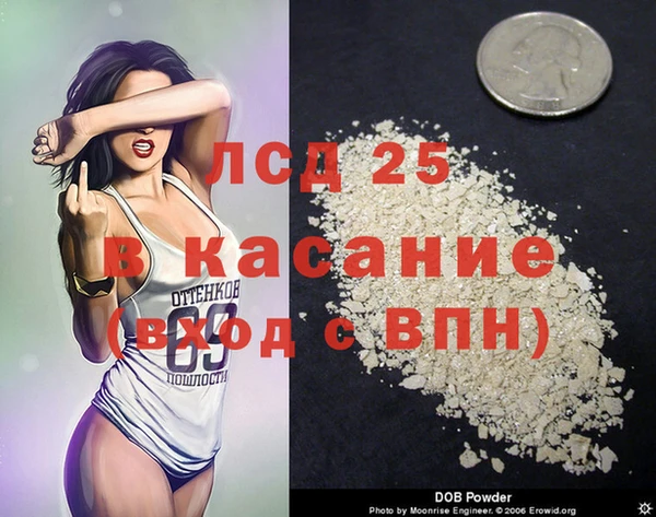 ГАЛЛЮЦИНОГЕННЫЕ ГРИБЫ Ельня