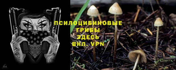 MESCALINE Елизово