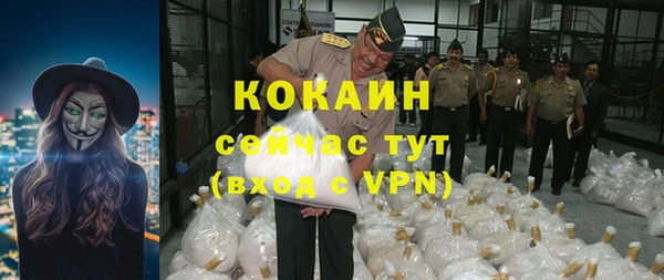 ГАЛЛЮЦИНОГЕННЫЕ ГРИБЫ Ельня