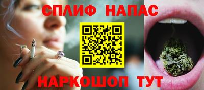 сатива Будённовск
