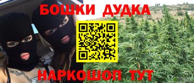 сатива Будённовск