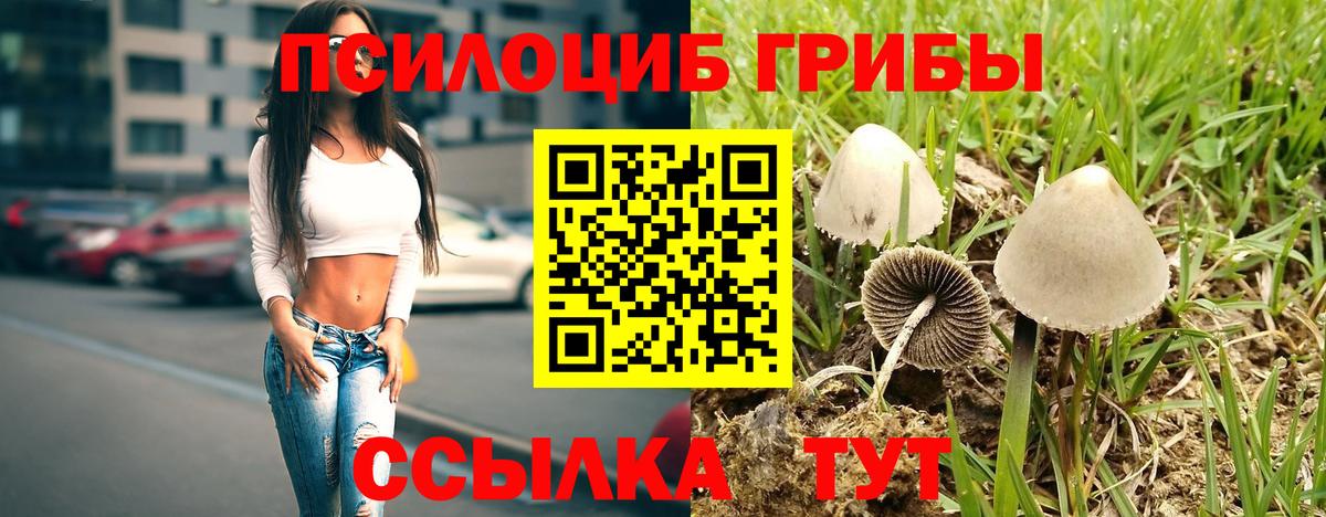 Галлюциногенные грибы Psilocybine cubensis Ирбит